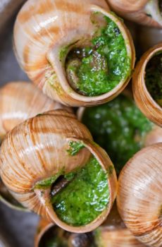 Escargots